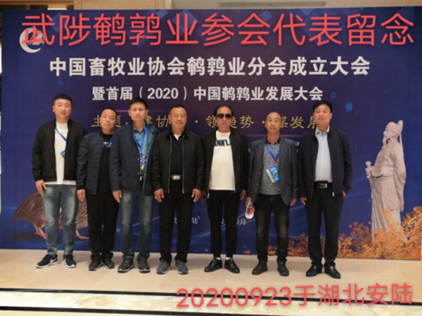 這一年，謝謝自己155